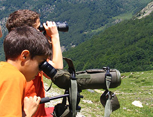 Observation